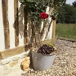 Le Chouette Insolite * Cresseveuille