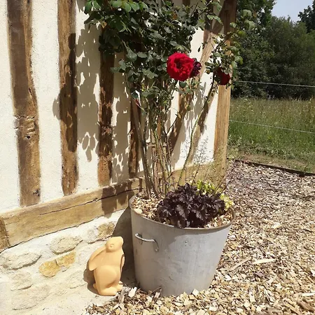 Le Chouette Insolite * Cresseveuille