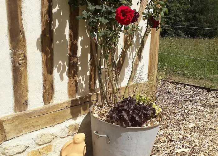 Le Chouette Insolite * Cresseveuille